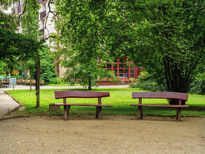 Ensana Thermal Sárvár image