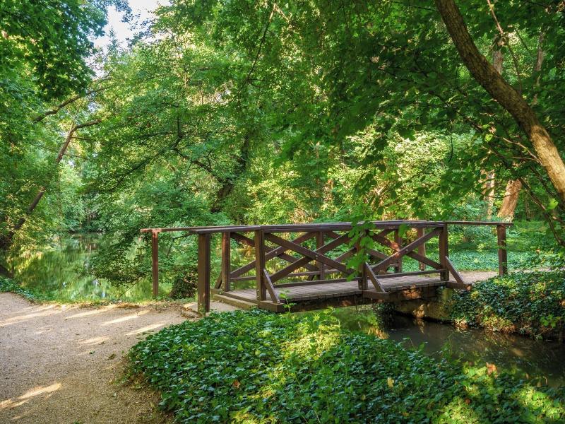 Ensana Thermal Sárvár image