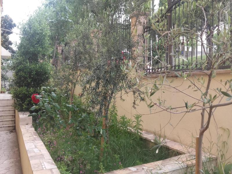 Guest House Vlado — exterior view