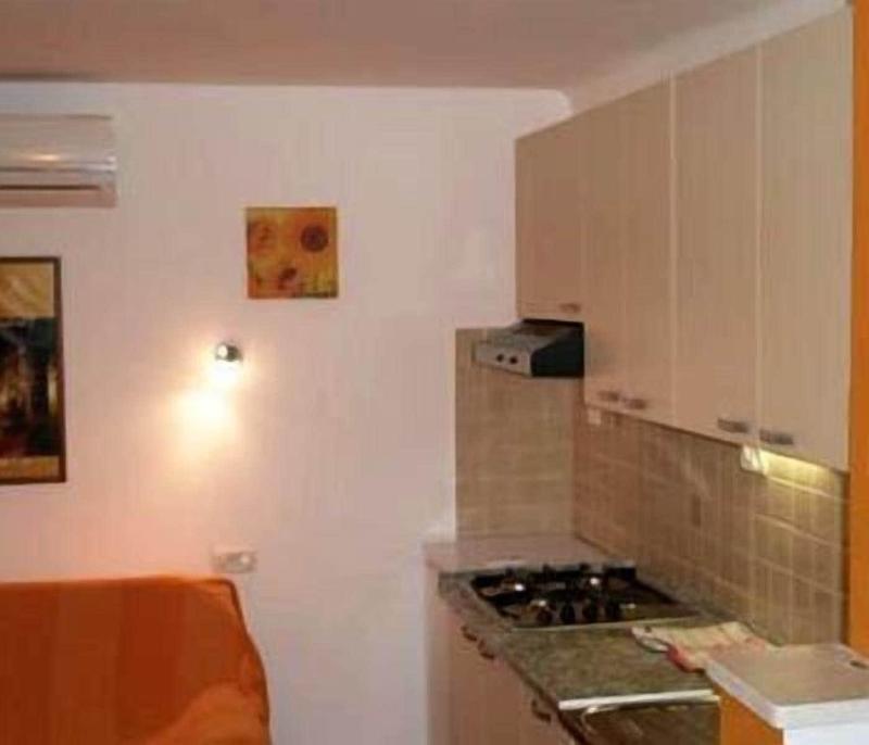 Guest House Vlado image