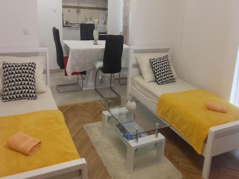 Guest House Vlado image
