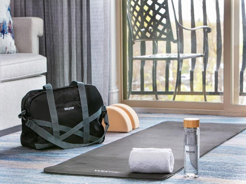 The Westin Sacramento Riverfront Hotel & Spa image