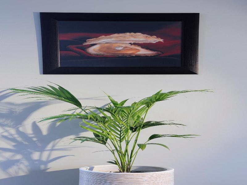 Oyster Box Guesthouse image