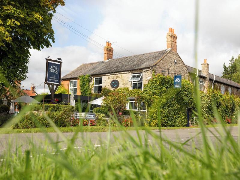 The Blue Boar image