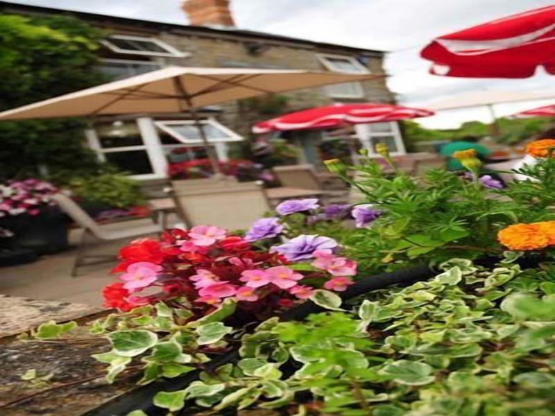 The Blue Boar image