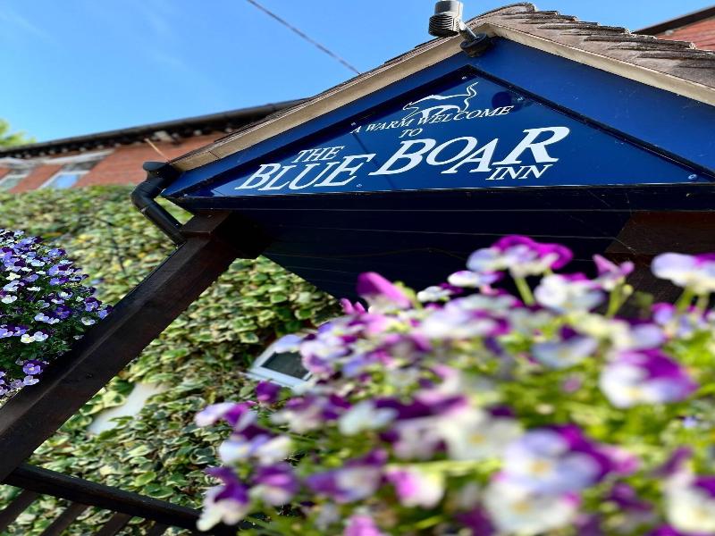 The Blue Boar image