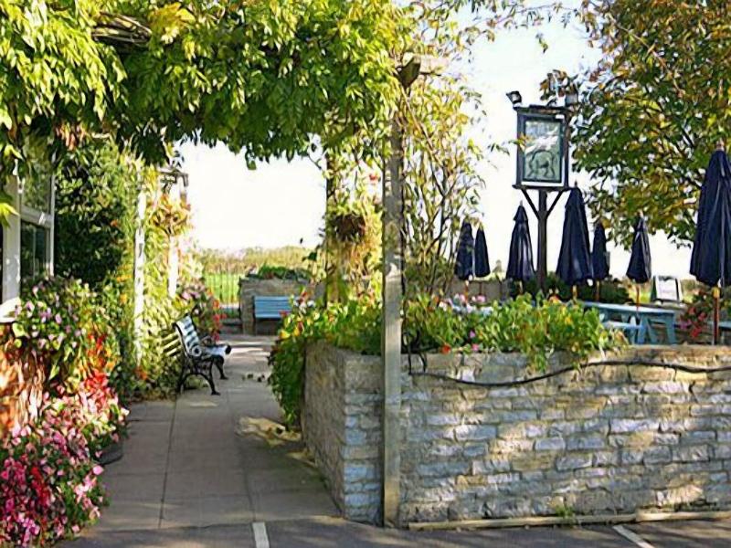 The Blue Boar image