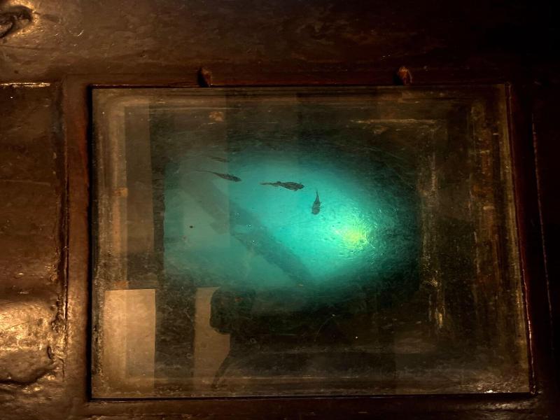 The Blue Boar image