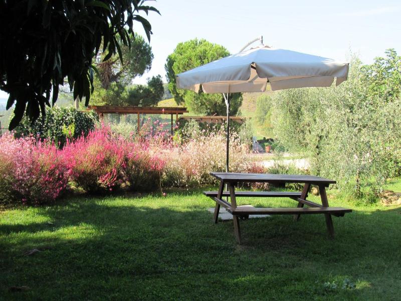 Agriturismo Il Renello image