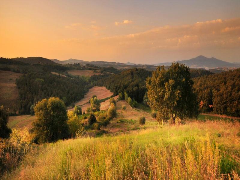 Agriturismo Il Renello image