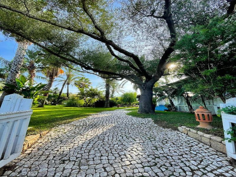 Mediterraneo image