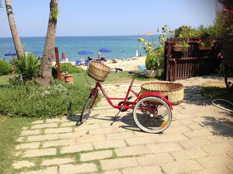 Mediterraneo image