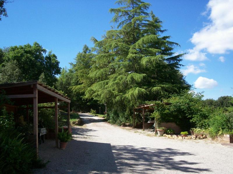 Podere Il Caggio Appartements image