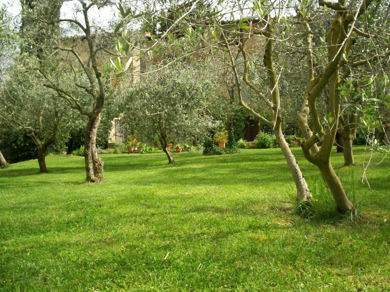 Podere Il Caggio Appartements image