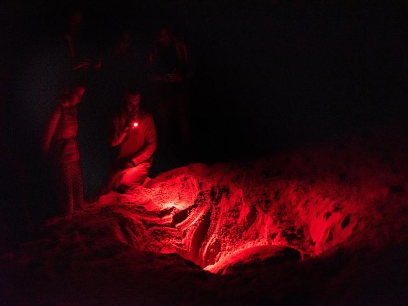 Ras Al Jinz Turtle Reserve image