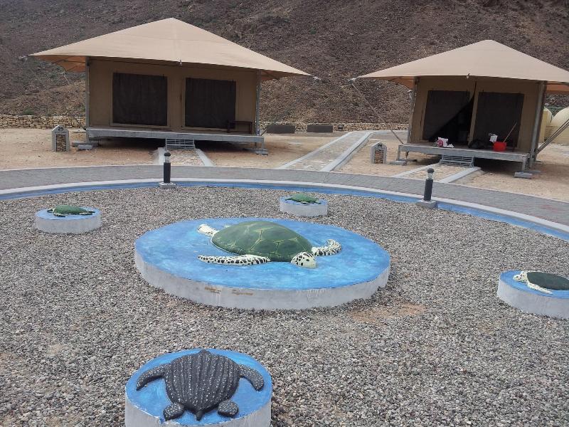 Ras Al Jinz Turtle Reserve image
