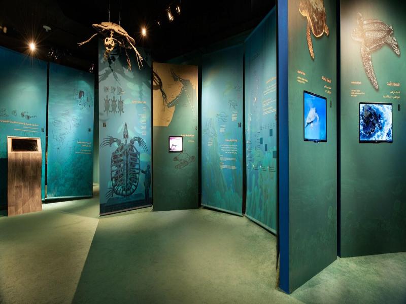 Ras Al Jinz Turtle Reserve image