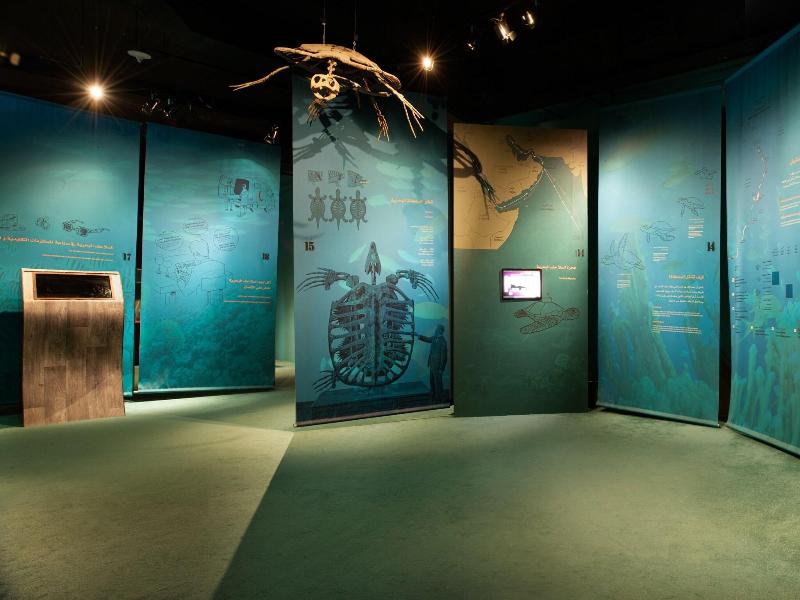 Ras Al Jinz Turtle Reserve image