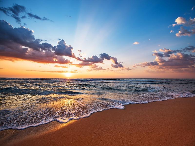 Ras Al Jinz Turtle Reserve image