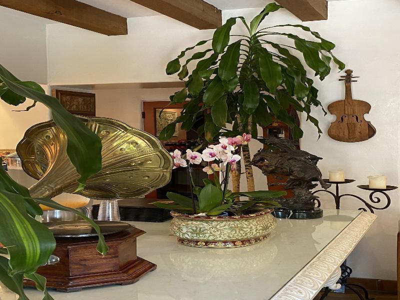 Villa Rosa Inn image