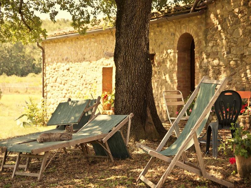Il Casalino image
