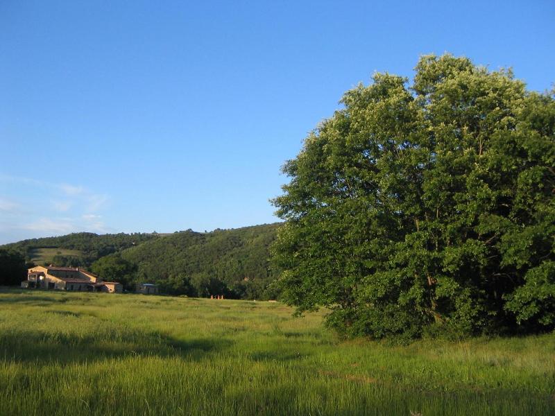Il Casalino image