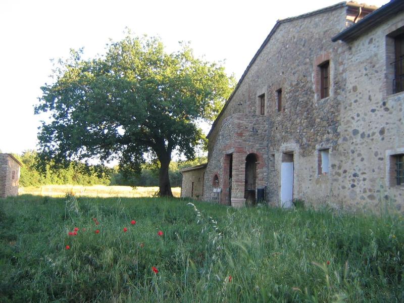 Il Casalino image