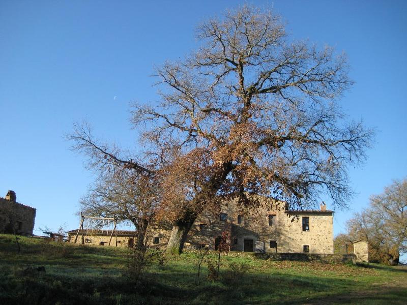 Il Casalino image