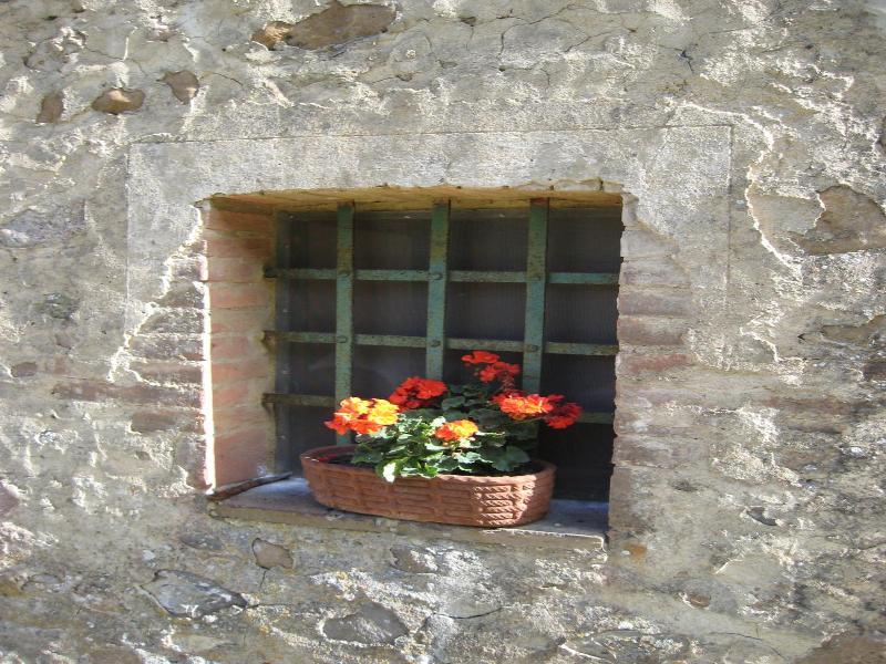 Il Casalino image