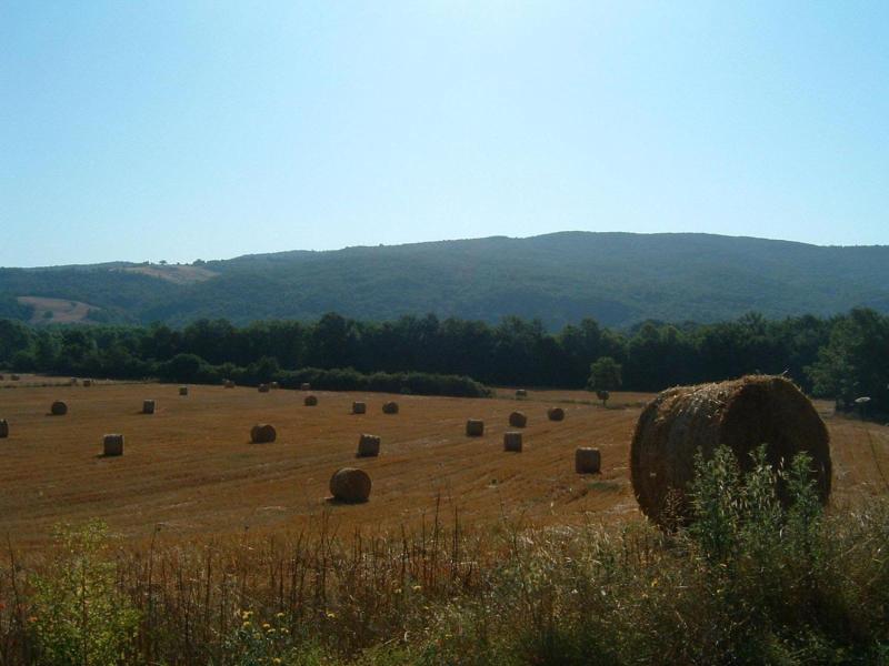 Il Casalino image