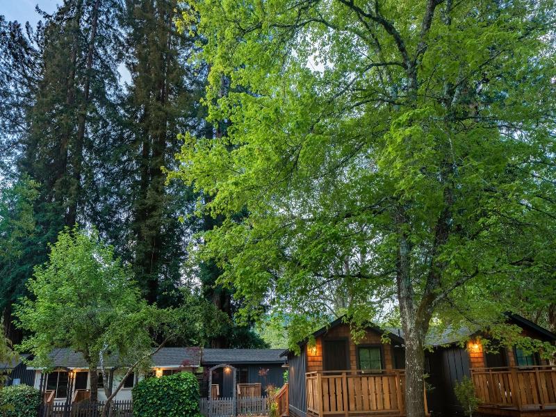 Dawn Ranch image