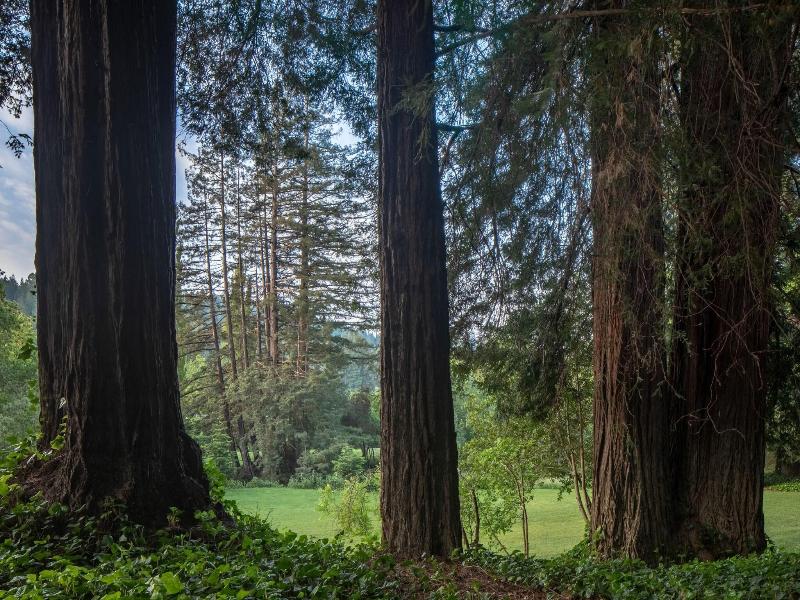 Dawn Ranch image