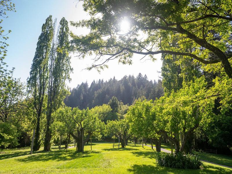 Dawn Ranch image