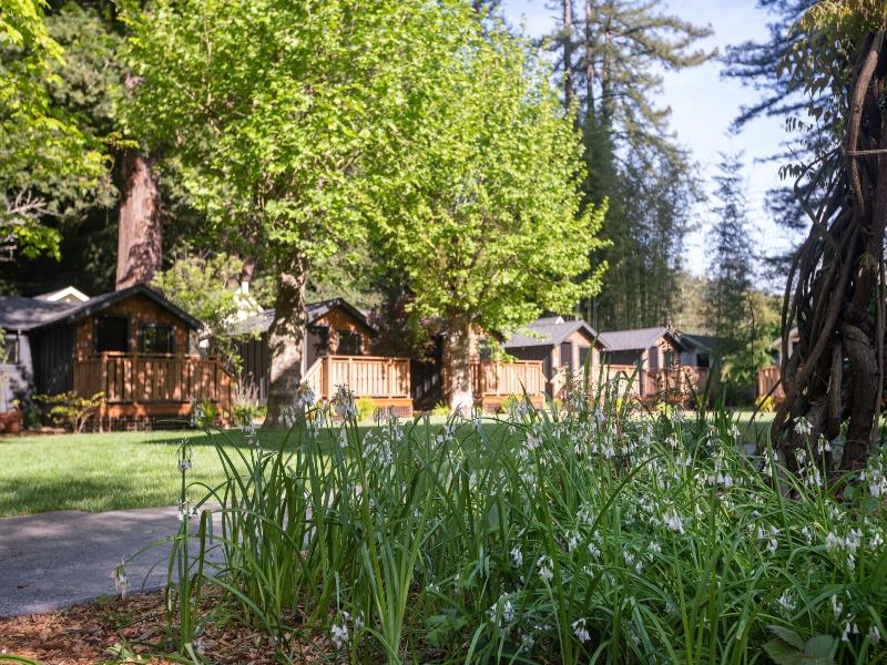 Dawn Ranch image