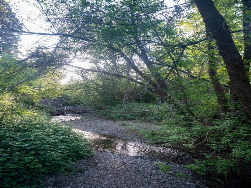 Dawn Ranch image