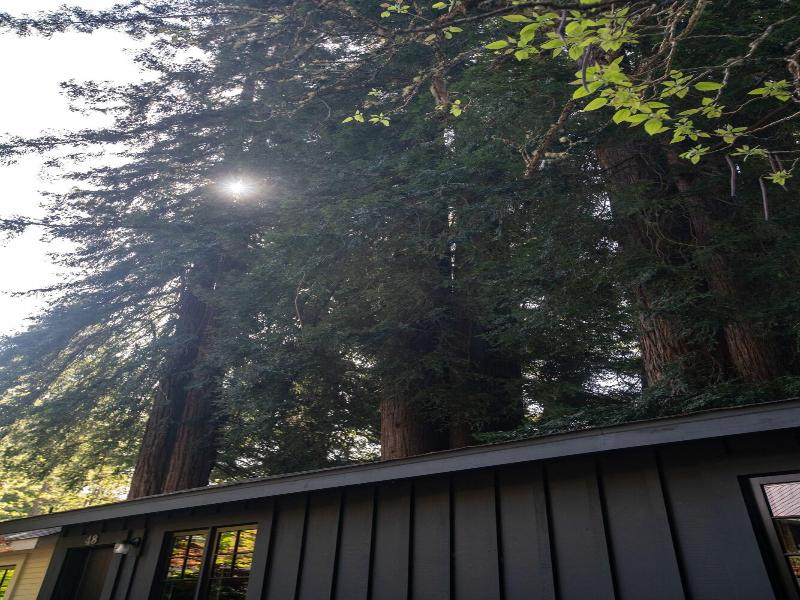 Dawn Ranch image