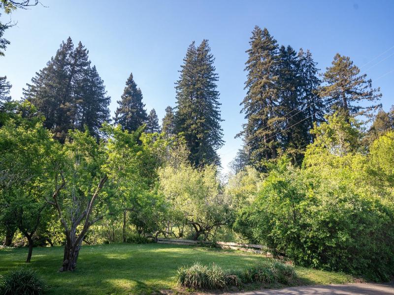 Dawn Ranch image