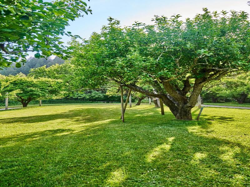 Dawn Ranch image