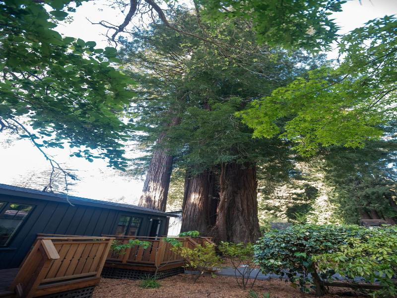 Dawn Ranch image