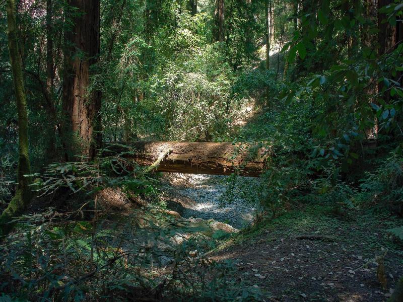 Dawn Ranch image