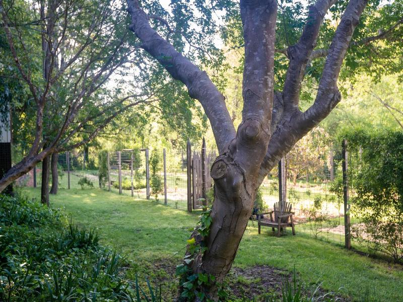 Dawn Ranch image