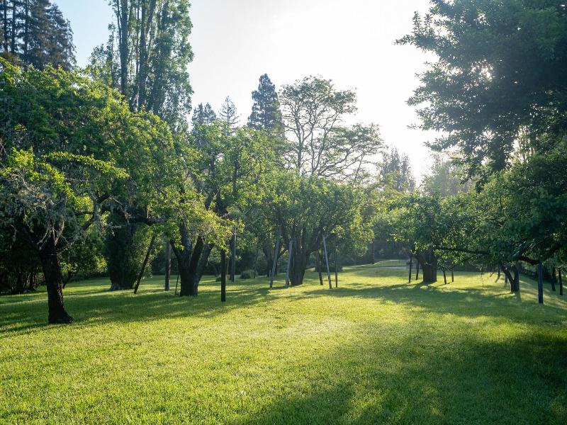 Dawn Ranch image