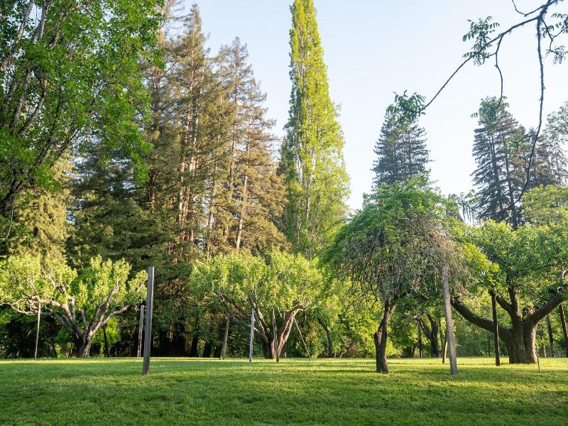 Dawn Ranch image