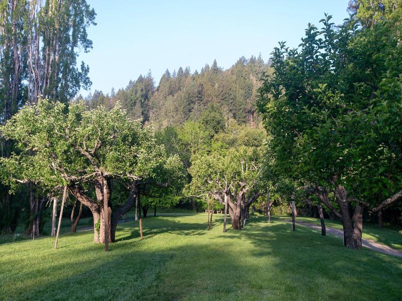 Dawn Ranch image