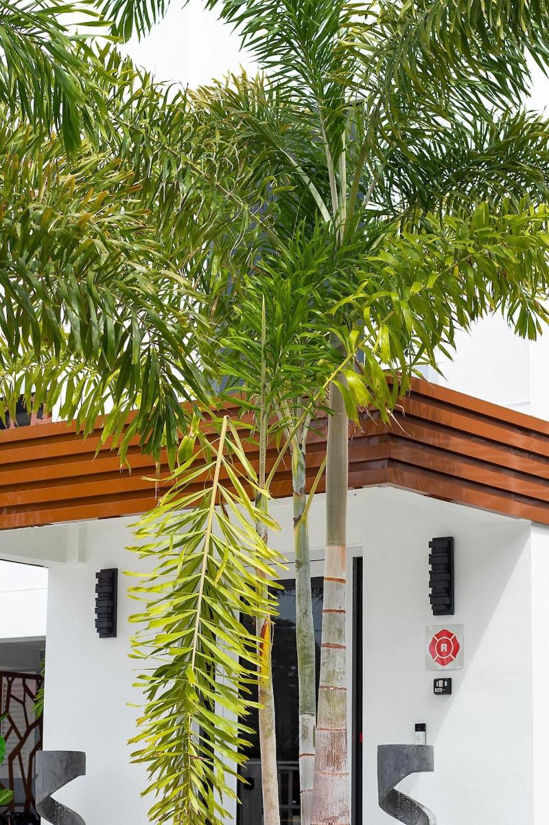 Sundial Motel image