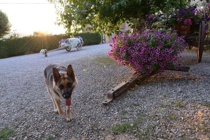 casa di Campagna image