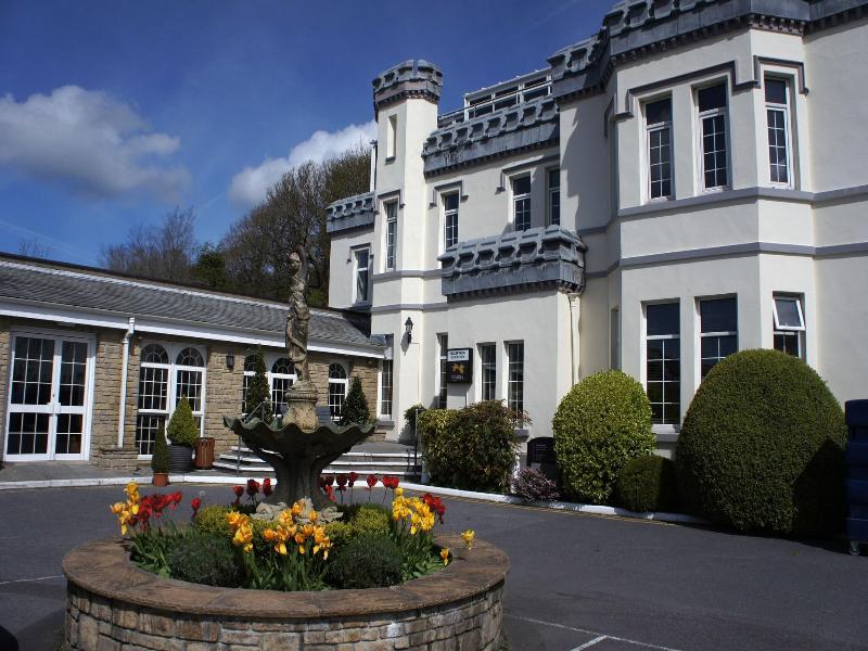 Stradey Park image