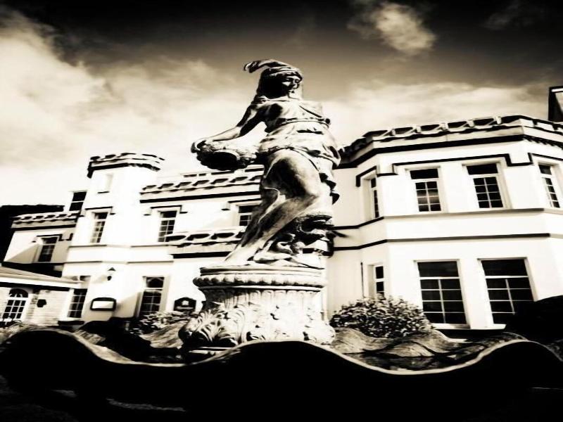 Stradey Park image