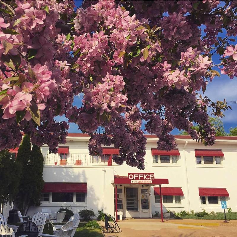 Holiday Music Motel image