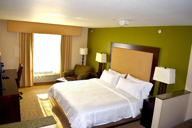 Holiday Inn Express Hotel & Suites Dewitt (Syracus photo 21